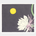 小林裕美　「月下に咲く」